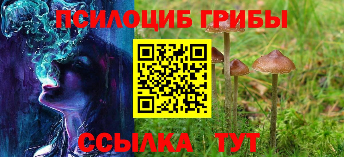 Псилоцибиновые грибы прущие грибы Тольятти