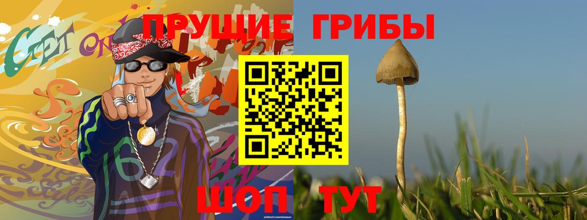 Тольятти  Галлюциногенные грибы мухоморы  Псилоцибиновые грибы ЛСД  Вход с VPN 